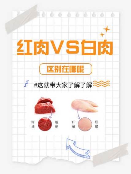 白肉是什么肉,红肉是什么肉缩略图