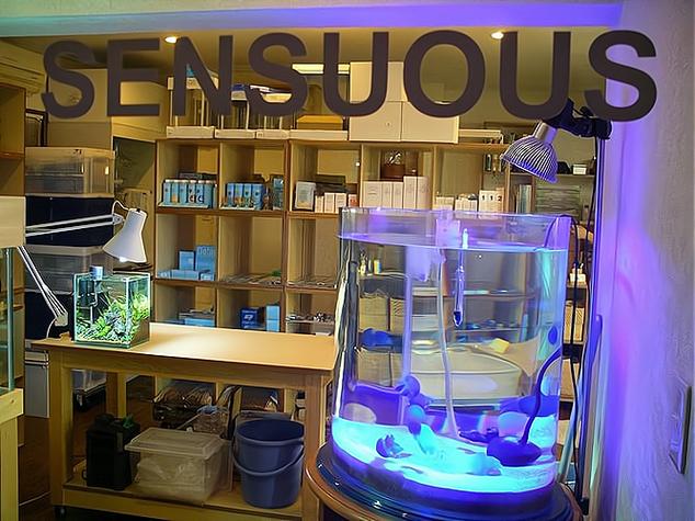 水族店怎么赚钱