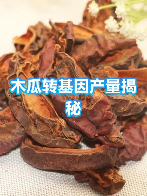 木瓜转缩略图