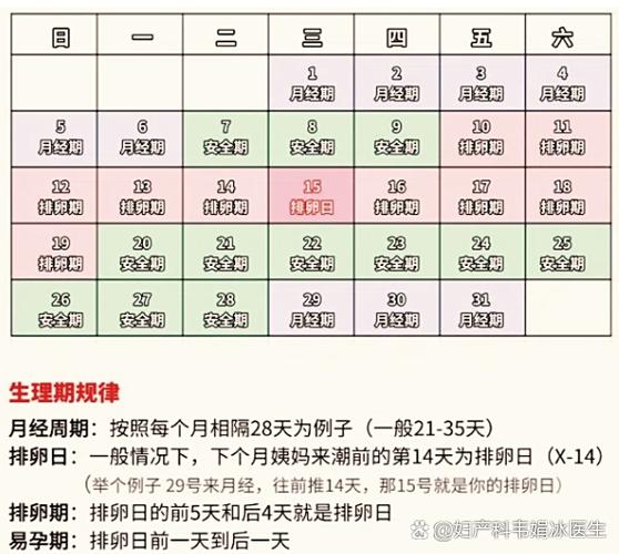 女性月经干净后第几天是排卵期缩略图
