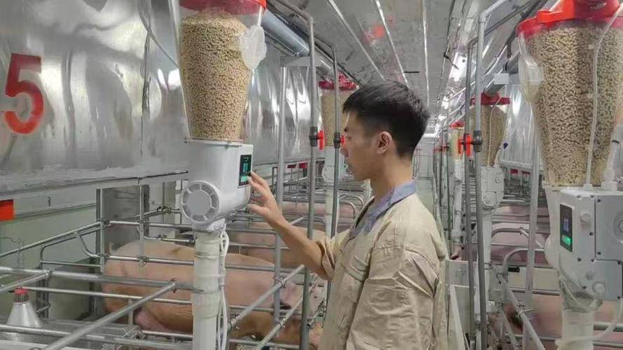 养猪场赚钱游戏截图
