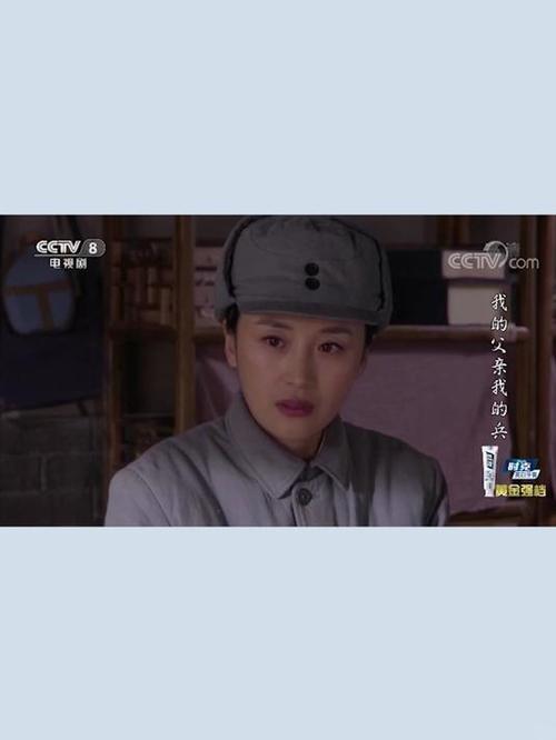 我的父亲我的兵连续剧