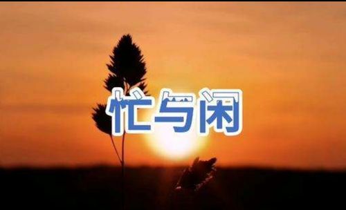 忙时不打扰,闲时缩略图