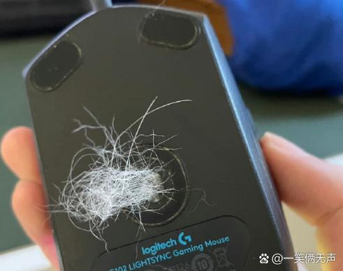 鼠标不灵敏的原因游戏截图
