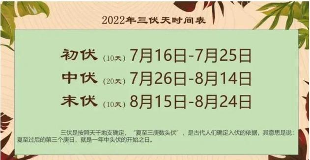 量入为出,提防口舌,行食伤运是什么意