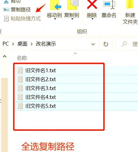 帝国全面战争esf修改文件教程游戏截图