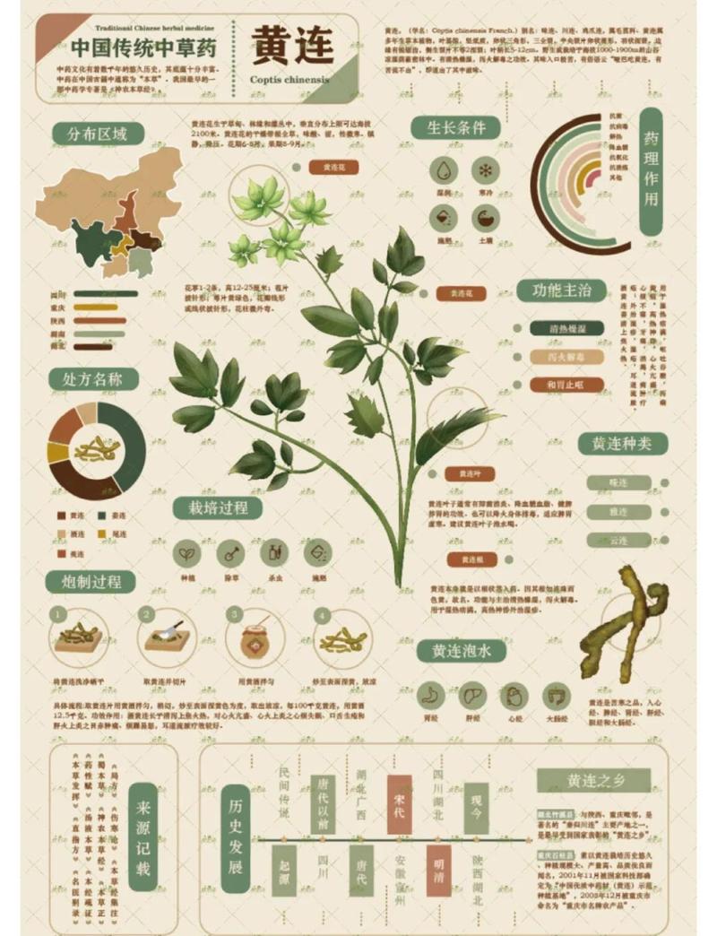 中医药发展战略规划纲要(2016-2030年)