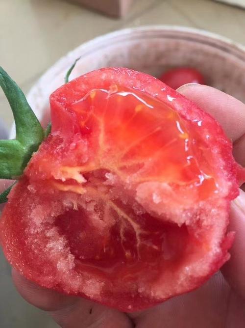 番茄充值缩略图