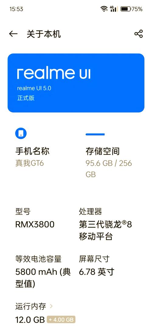 真我手机官网入口查激活
