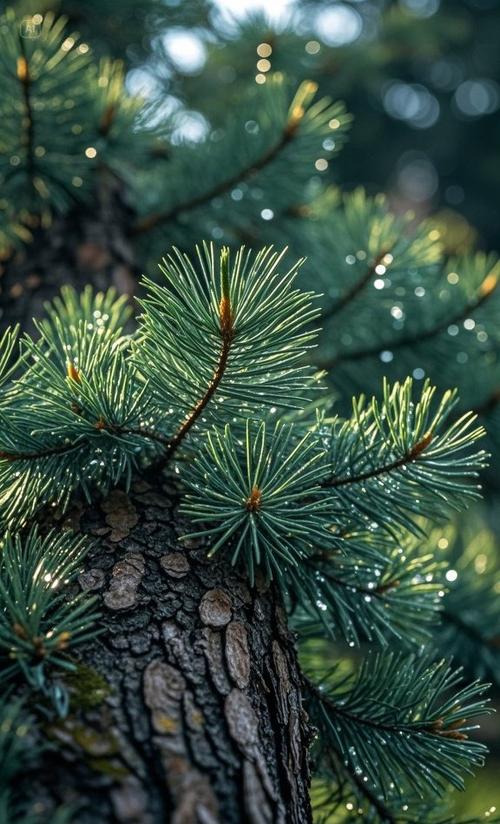 松树下可以种植什么植物游戏截图