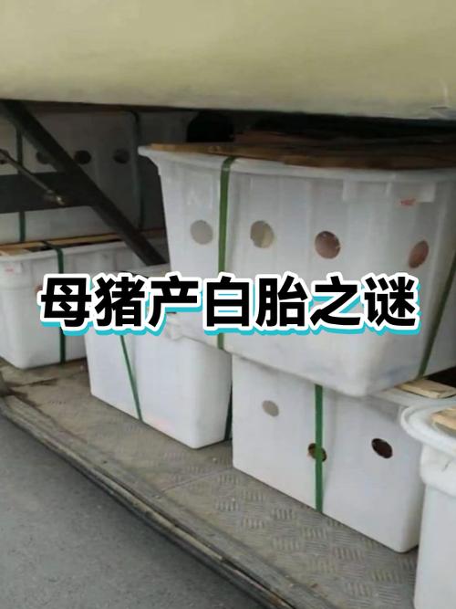 实际产出和潜在产出关系