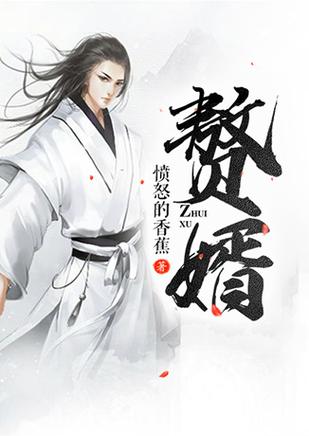 巨棒赘婿小说缩略图