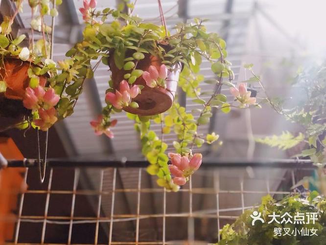 花开摄影工作室缩略图