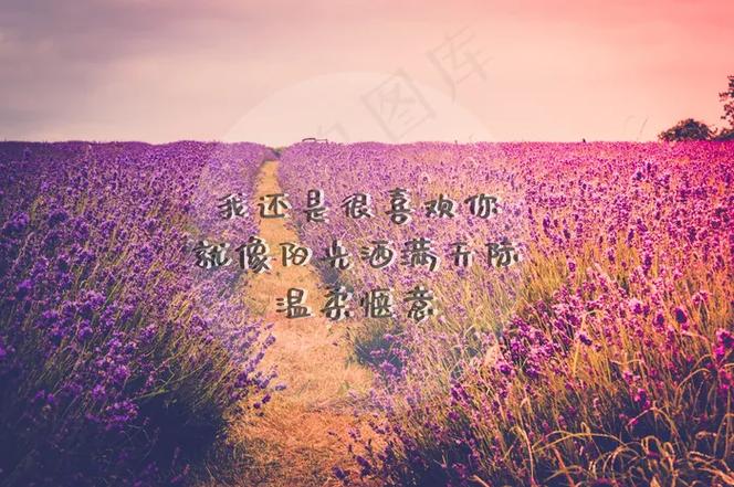 下载图片加文字