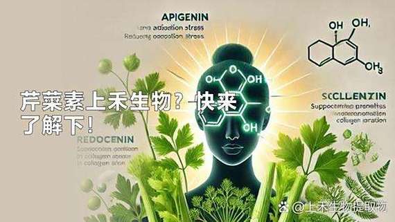只含cho的化合物生物