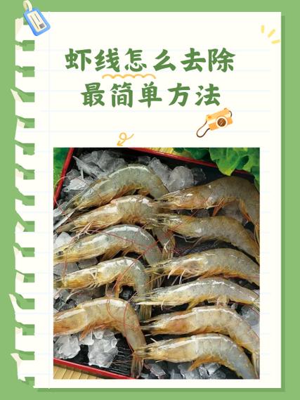 虾怎么去虾线缩略图