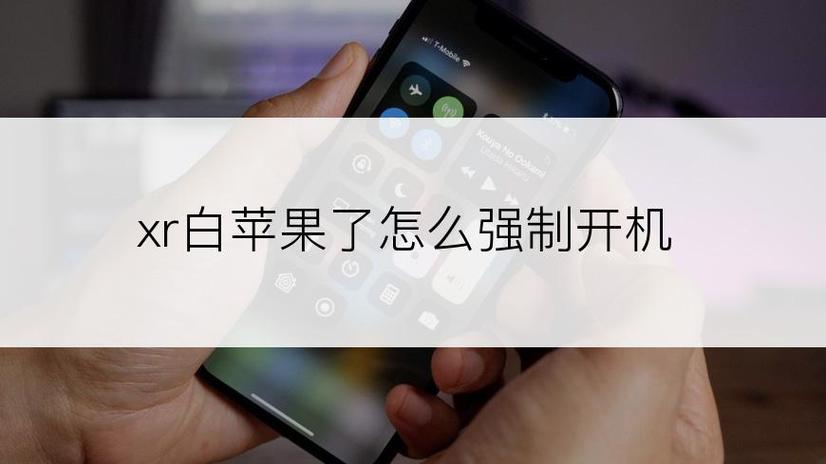 蚂蚁赚文字录入去除广告游戏截图