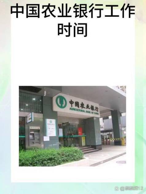 农业银行上班时间缩略图