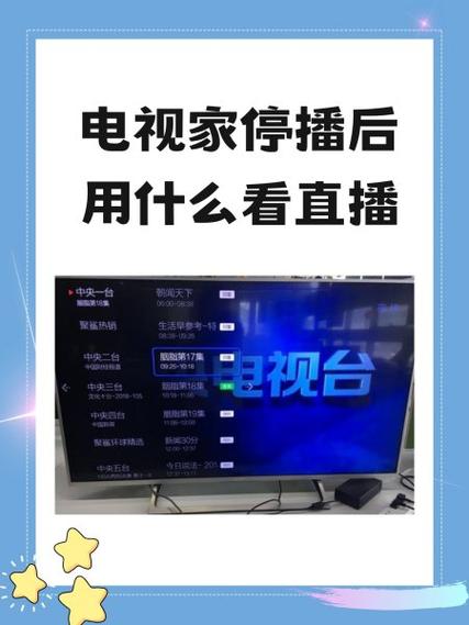 辽宁电视台直播回看缩略图