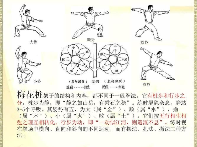 梅花桩步法顺序示意图
