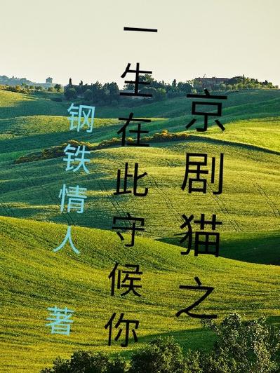 在此守候 小说缩略图
