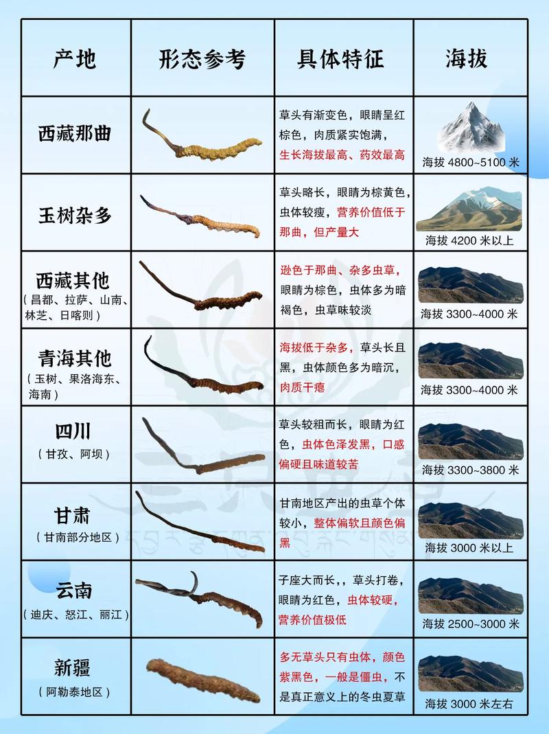 冬虫夏草产地排名