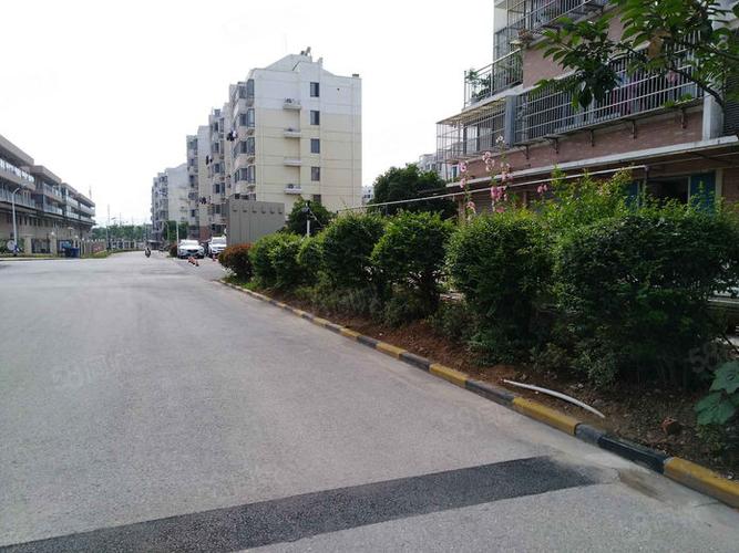 黄金花园西区游戏截图