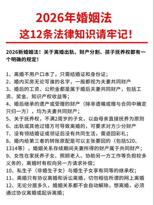 婚姻法2026正版最新版缩略图