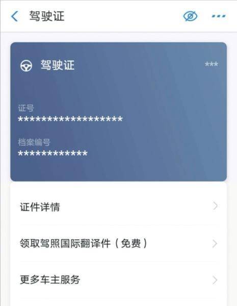 支付宝看驾驶证怎么看游戏截图