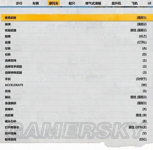 正当防卫3闪退win10游戏截图