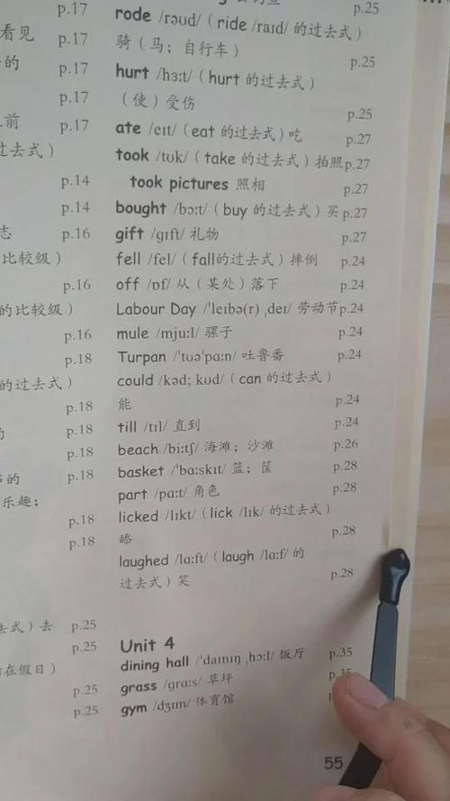 人教版6年级下册英语单词表缩略图