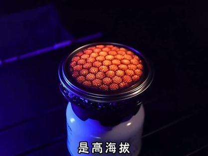 反应堆reactor游戏