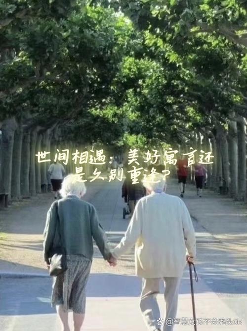 vivo相册照片视频混合