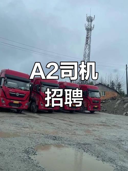 牛小二招聘a2司机缩略图