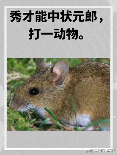 十二生肖最野蛮的是什么生肖图标