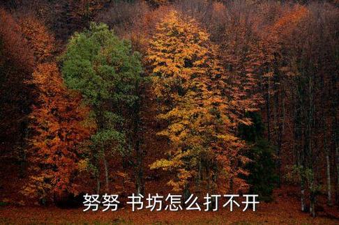 努努书坊 - 小说在线阅读游戏截图