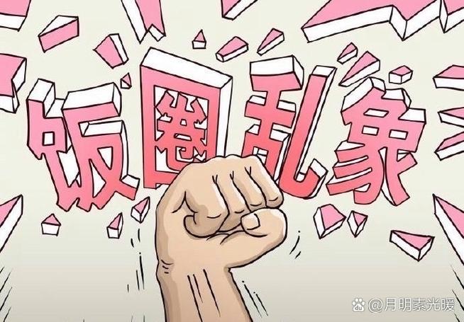 什么是“饭圈”乱象