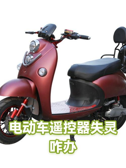 电动车遥控器坏了怎么办游戏截图