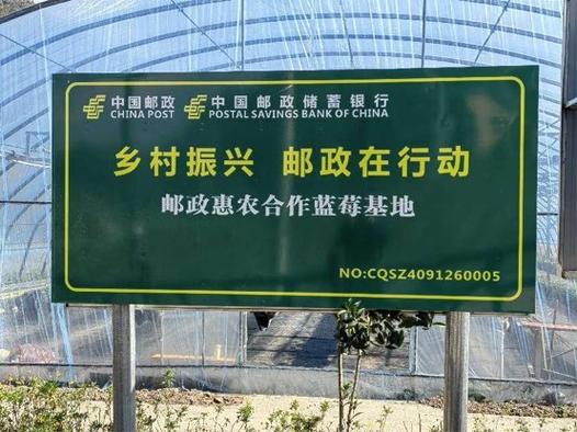 解除邮政银行卡交易次数限制的方法缩略图