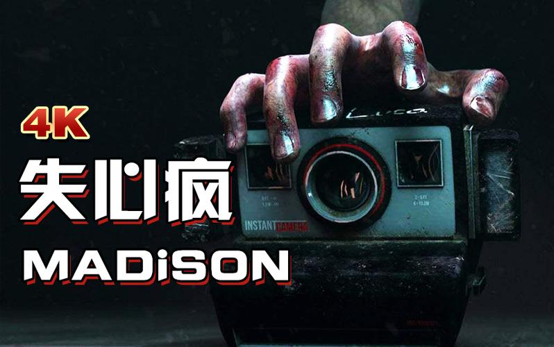 madison游戏讲了什么故事