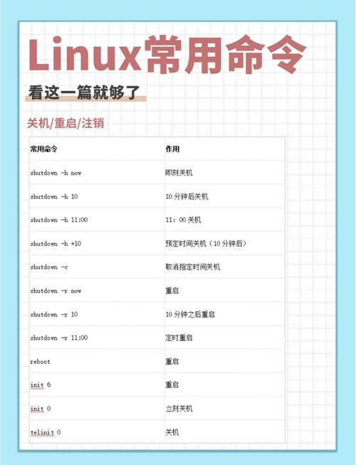 命令助手最新版本游戏截图