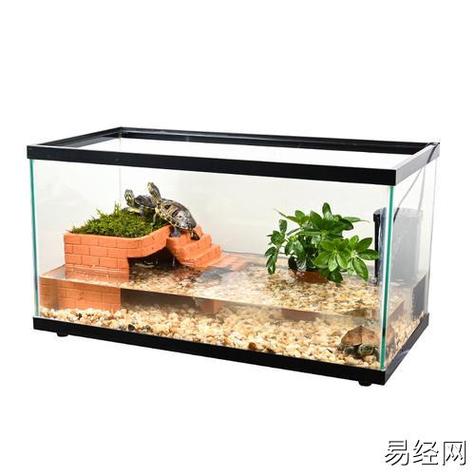 乌龟缸摆放位置风水图图标