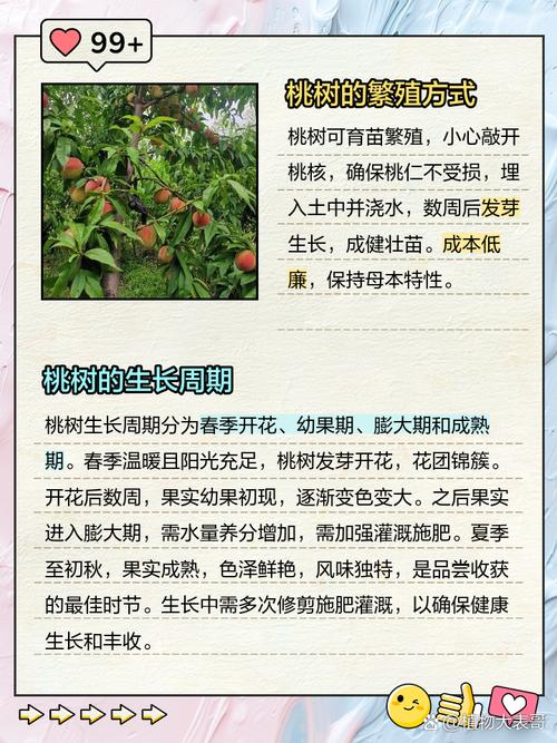 桃树结果后需要修剪吗缩略图