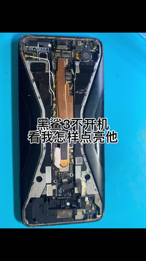 黑鲨阁APP缩略图