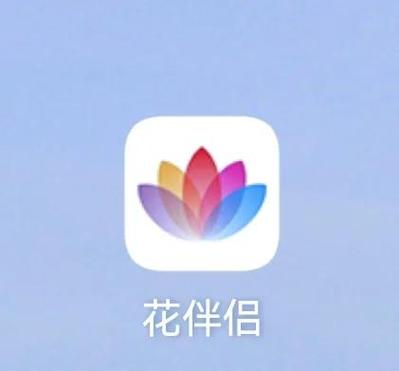 活力花借钱靠谱吗游戏截图