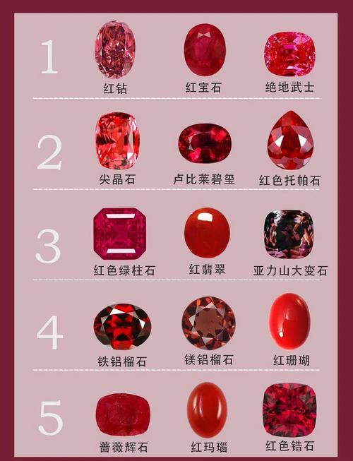 口袋妖怪红宝石图鉴