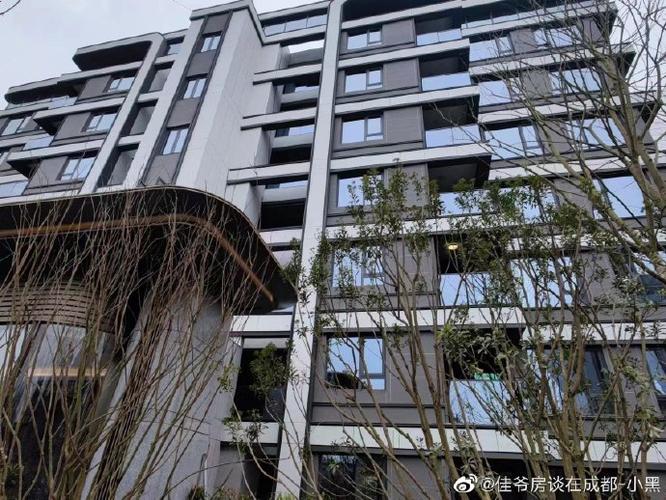天府市民云个人住房信息查询游戏截图