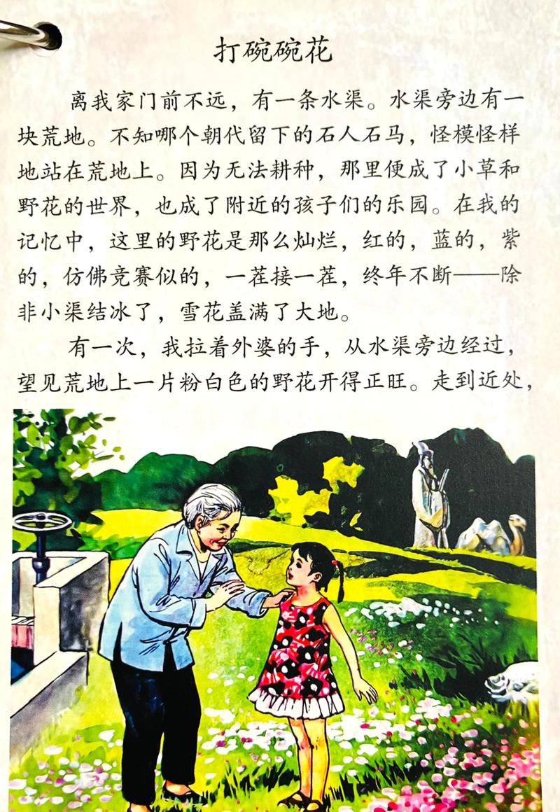 山岗上的豆花地阅读缩略图