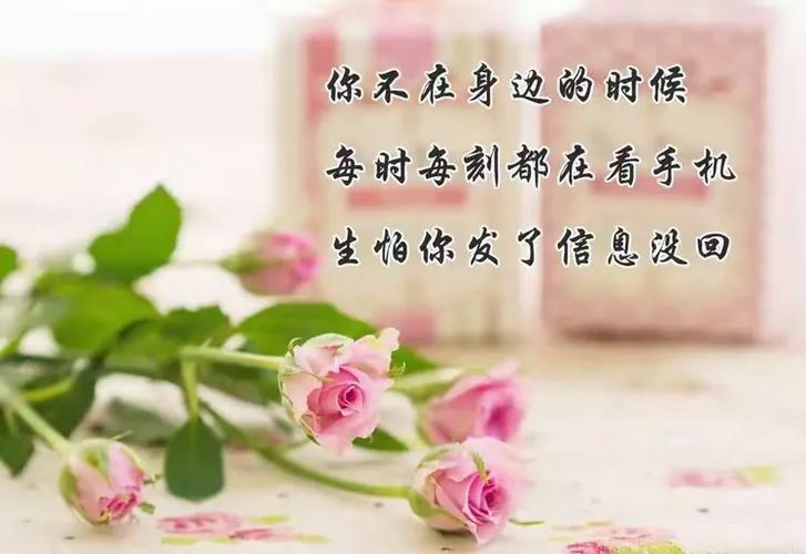 感谢k歌友友的句子缩略图