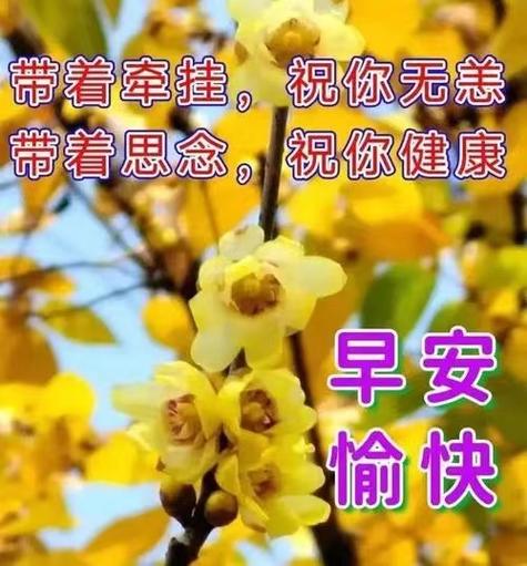 华为手机每天早上自动播报缩略图